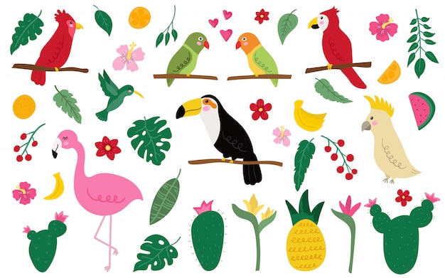 Vector set of exotic birds and elements.