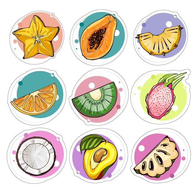 set of exotic fruits stiker with cjlorful background Vector