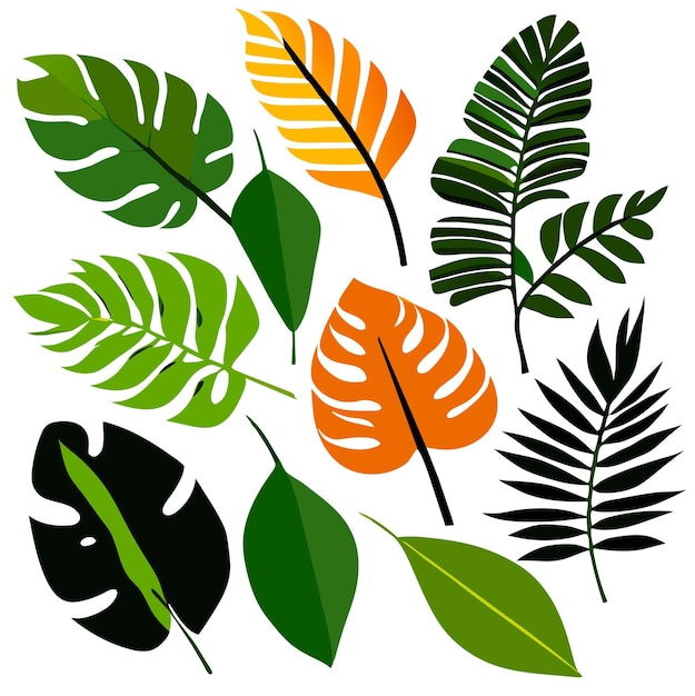 Vector set of exotic tropical leaves isolated vector illustration on white background