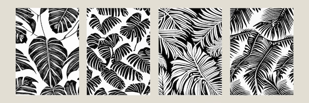Set exotische bladeren naadloze patroon zwart wit Stijlvolle abstracte vector decoratieve achtergrond Tropische palm bladeren