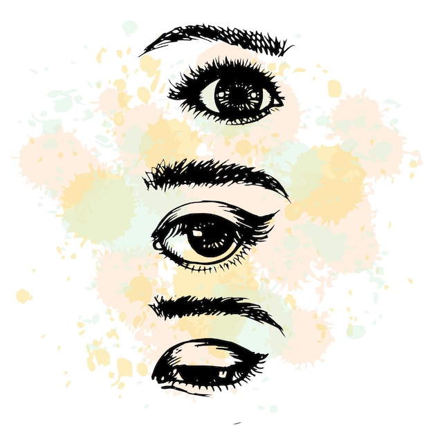 Set of eye and brow hand drawn illustration vector image