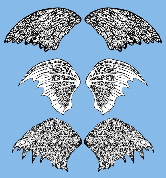 Vector set of the fabulous decorative wings