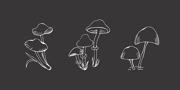 Set of family poisonous mushrooms toadstools Doodle