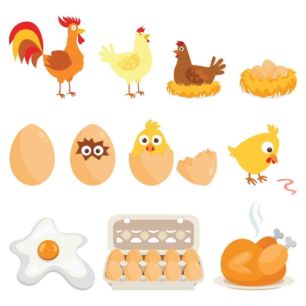 Vector set of farm animals, chicken family