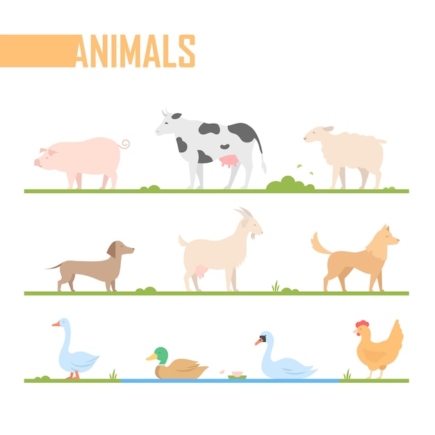 Insieme degli animali da fattoria - fumetto moderno di vettore isolato illustrazione su priorità bassa bianca. un maiale, una mucca, una capra, un'anatra, una pecora, un cane, un'oca, un cigno, un pollo. perfetto come aiuto visivo, poster, adesivo