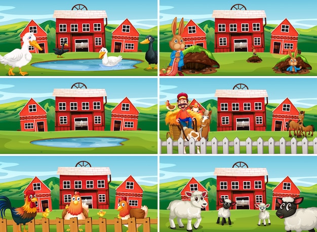 Set of farm scene