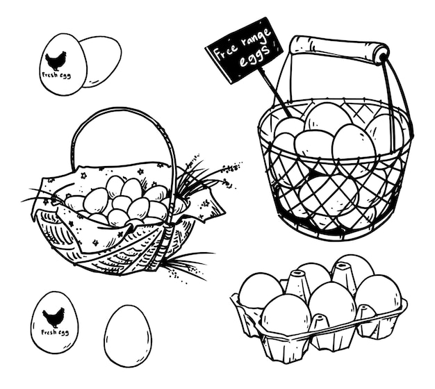 Set of farmerÃÂÃÂÃÂÃÂ¢ÃÂÃÂÃÂÃÂÃÂÃÂÃÂÃÂs eggs drawings, vector illustration