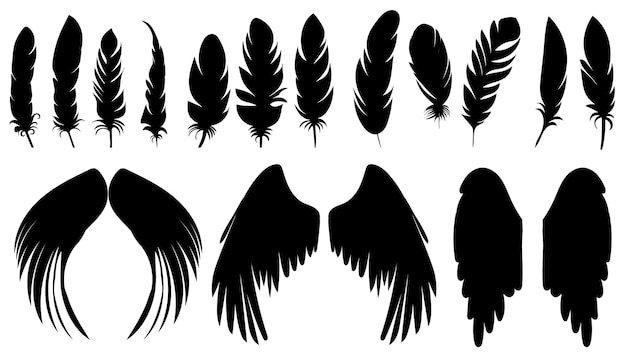 Set of feather and wings of a bird black silhouette isolated vector