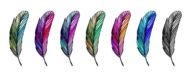 異なる色の羽のセット。カラフルな水彩イラスト