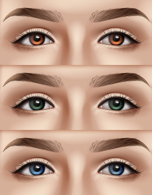 Vector set of female face with blue, green and brown eyes