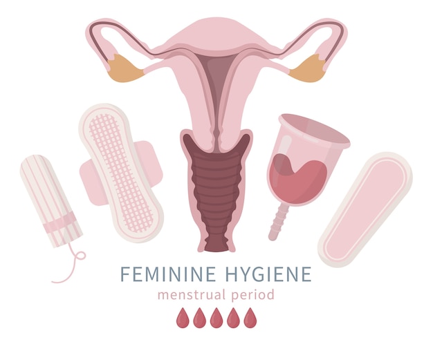 Set of feminine hygiene products