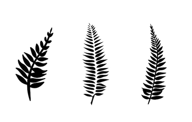 Vector set of fern elements for decoration