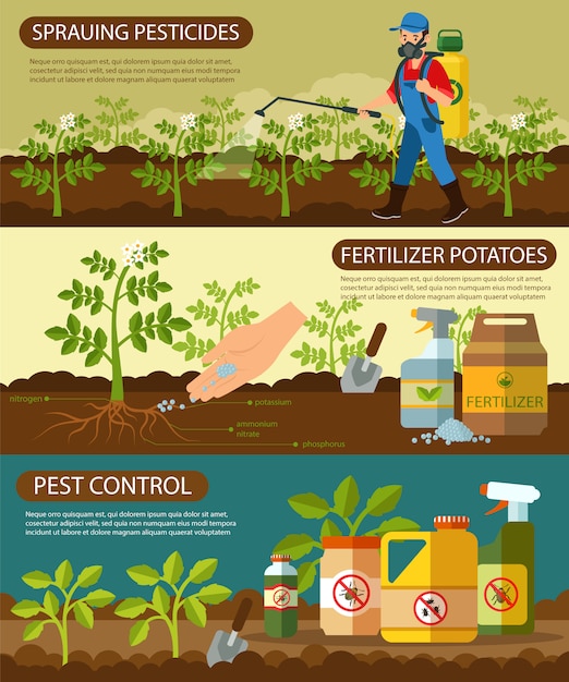 벡터 비료 감자와 스프레이 살충제를 설정하십시오.