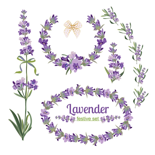 Impostare cornici ed elementi festivi con fiori di lavanda per biglietto di auguri illustrazione botanica