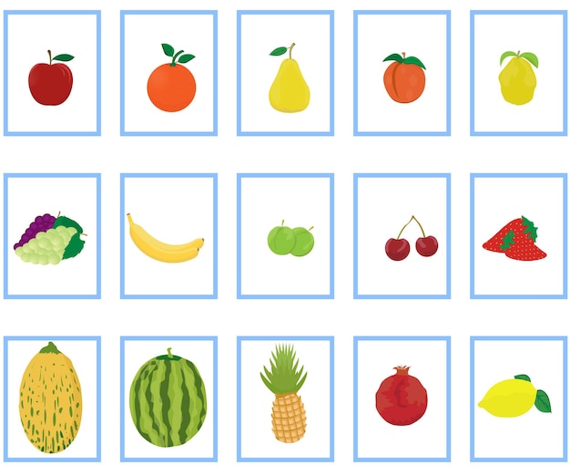 A set of fifteen most common fruits