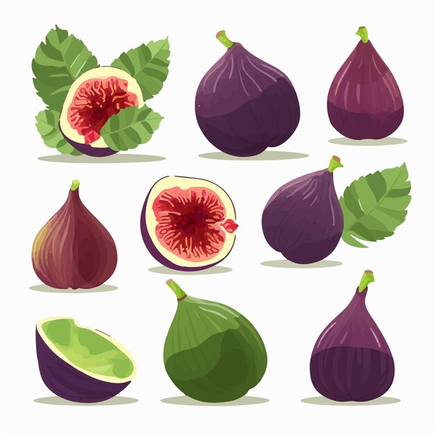 Vector set of fig vector illustrations with a mosaic effect