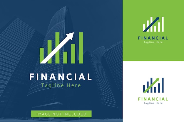 Set of finance accounting logo vector design template with different color style