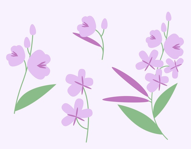 Set of fireweed design elements