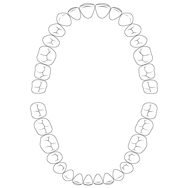 Set fissures teeth