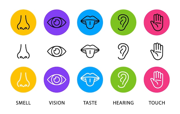 Set di cinque icone piatte dei sensi umani visione udito gusto odore tocco