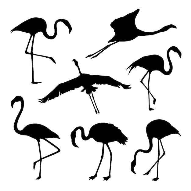 Set of flamingo silhouette vector