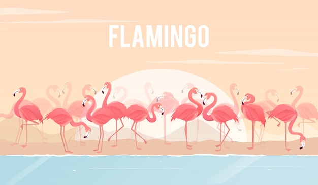 Set of flamingos on background