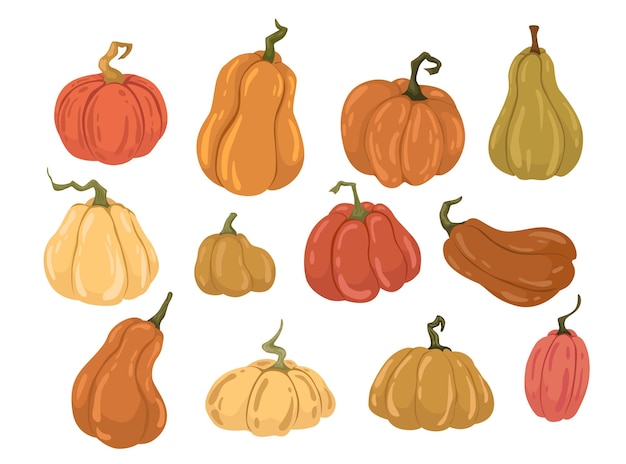 Set flat drawn pumpkins autumn collection