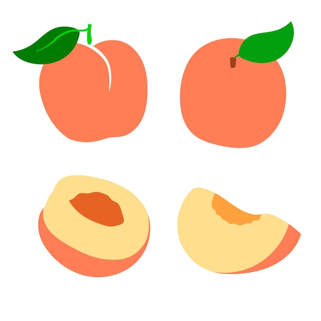 Set of flat fruit peach with leaves, whole, half and piece.