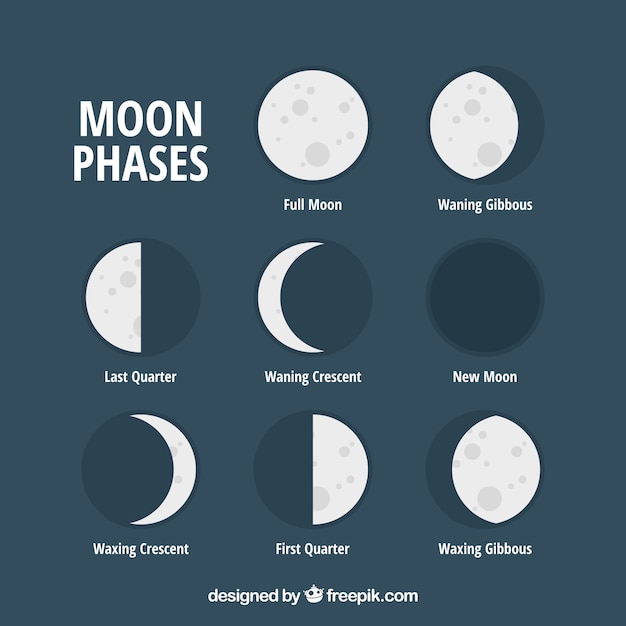 Vector set of flat moon phases