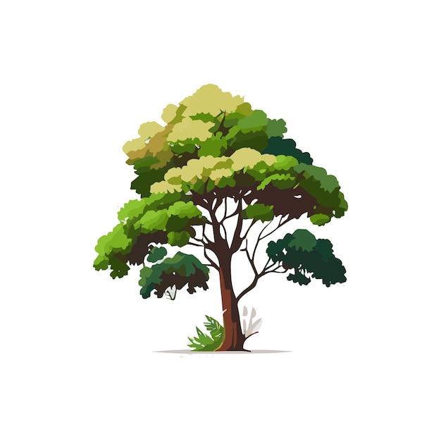 Set of flat stylized trees Natural vector illustration Side view