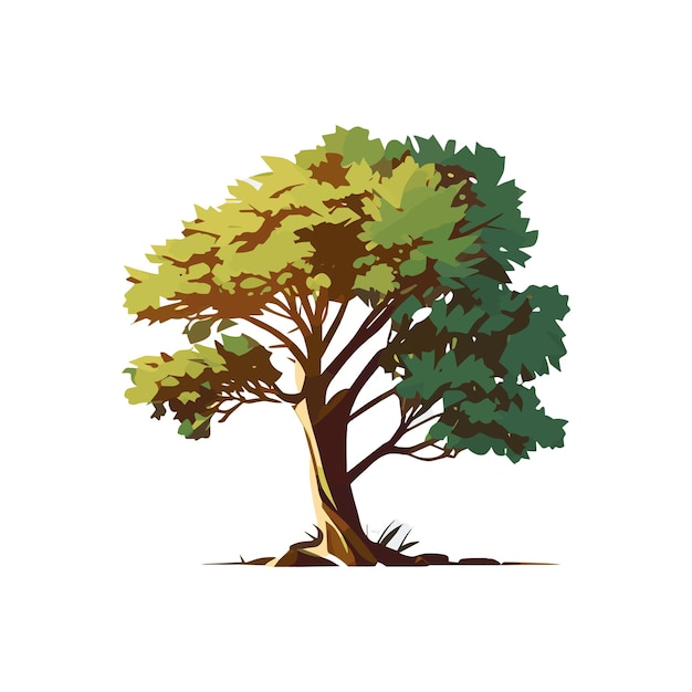 Set of flat stylized trees Natural vector illustration Side view