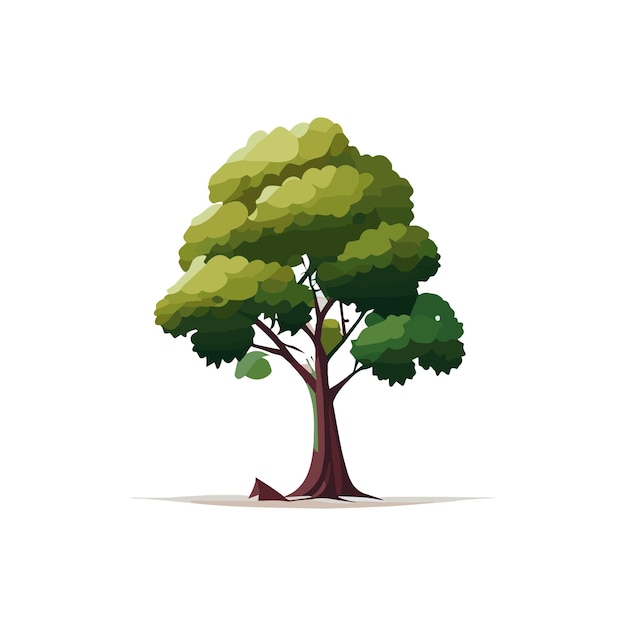 Set of flat stylized trees Natural vector illustration Side view