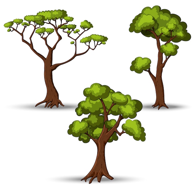 Set of flat stylized trees. Natural vector illustration.