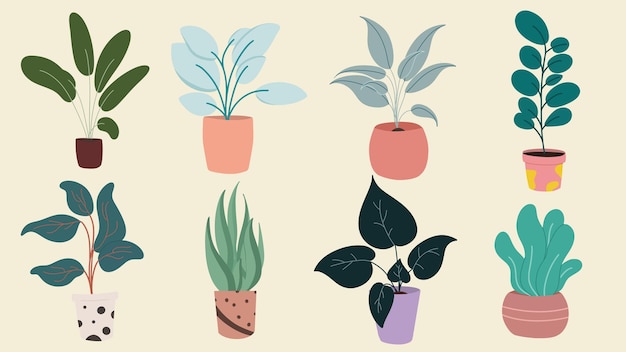 Vector a set of flat vector house plants illustration