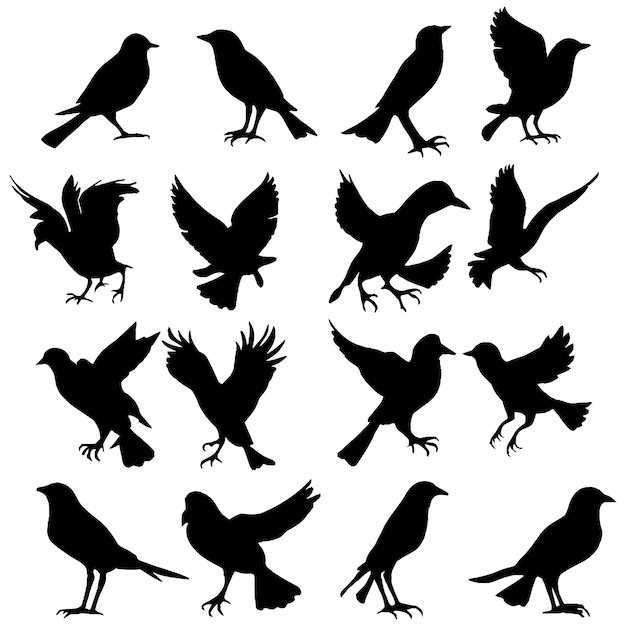 Set of a flock of flying different birds silhouettes Collection of cartoon black birds on Vector