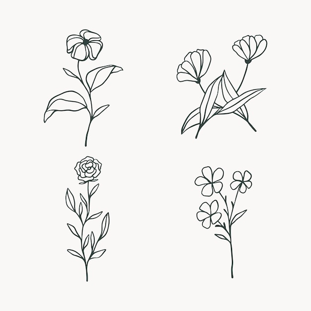 Set of floral botanical leaf doodle line art