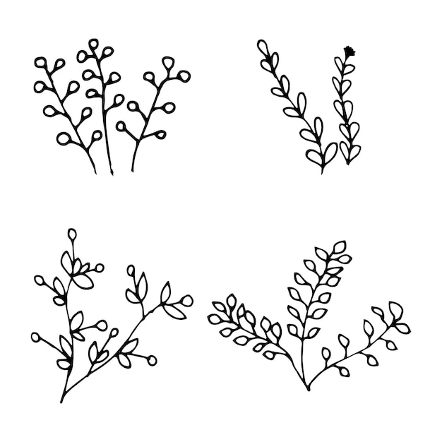 Set floral branch of doodle style outline