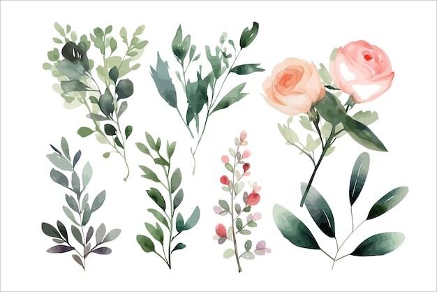 Vector set of floral branch flower pink rose green leaves decorative flower elements template flat cartoon illustration isolated on white background