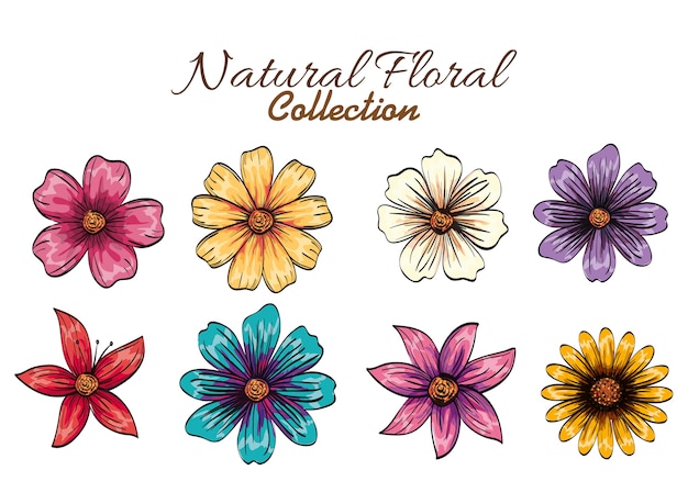 Set floral decoration vintage style vector illustration design