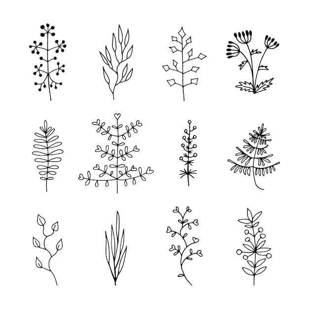 Set di disegni floreali doodle elementi vegetali per il tuo design illustrazione vettoriale