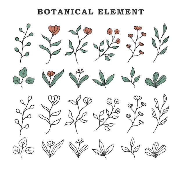 Vector set of floral element