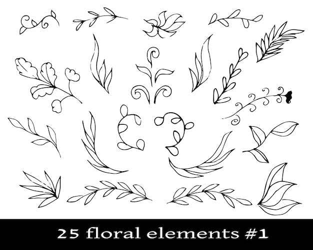 Vector set floral elementen met laurierbomen bladeren