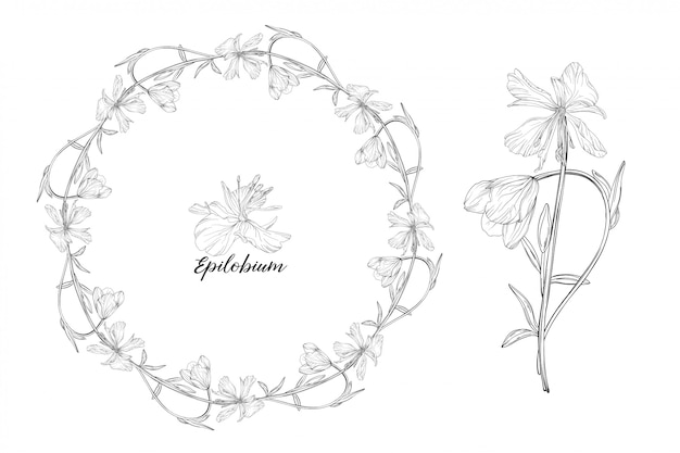 꽃 요소 epilobium 세트