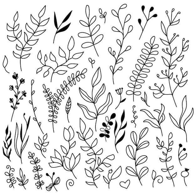 花の要素のセット-葉と枝。