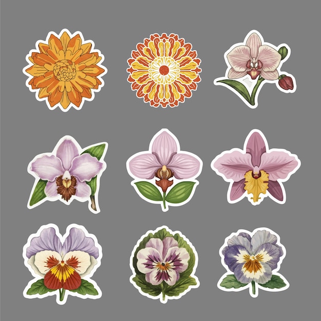 Vector set of floral elements romantic flower