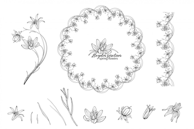 Set of floral elements