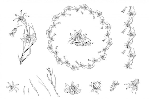 Set of floral elements