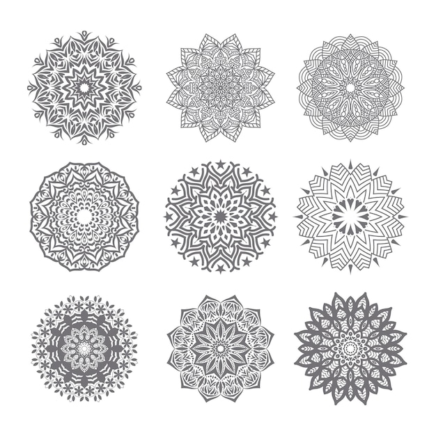 Insieme del disegno vettoriale dell'ornamento floreale mandala vector element motivo floreale sullo sfondo