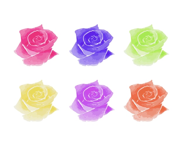 Set of floral rose watercolor elements