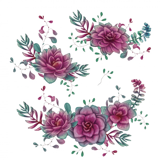 Vector set of floral succulents compositions in hand draw style.